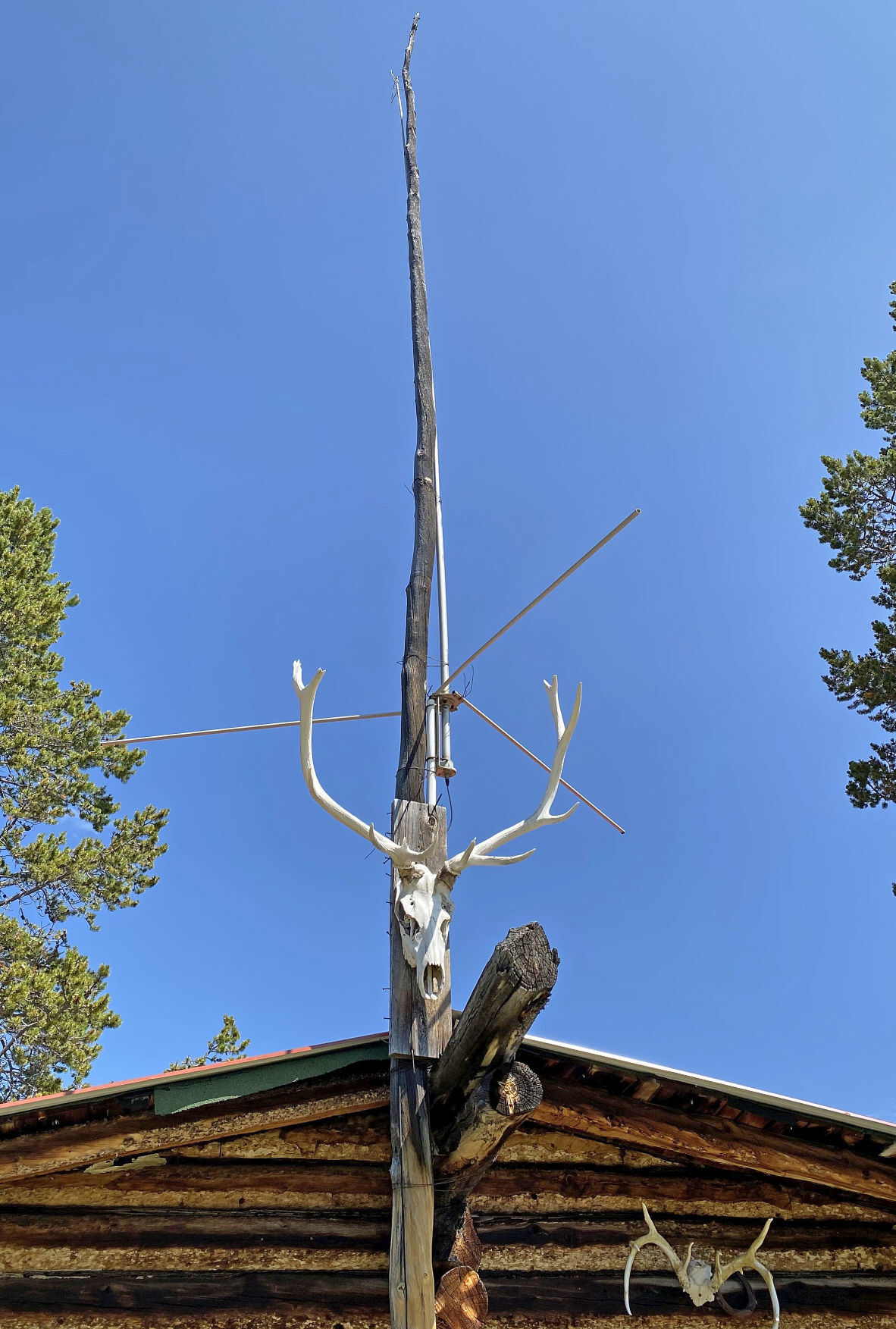 Antenna